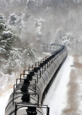 A unit ethanol train slices through the frozen landscape 