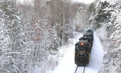 Northbound NS 168 hustles across single track between Whitley City and Flatrock 
