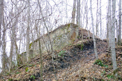 Remains of the South adbutment of the CNO&TP bridge over Gut Lick Creek, near Alpine KY.