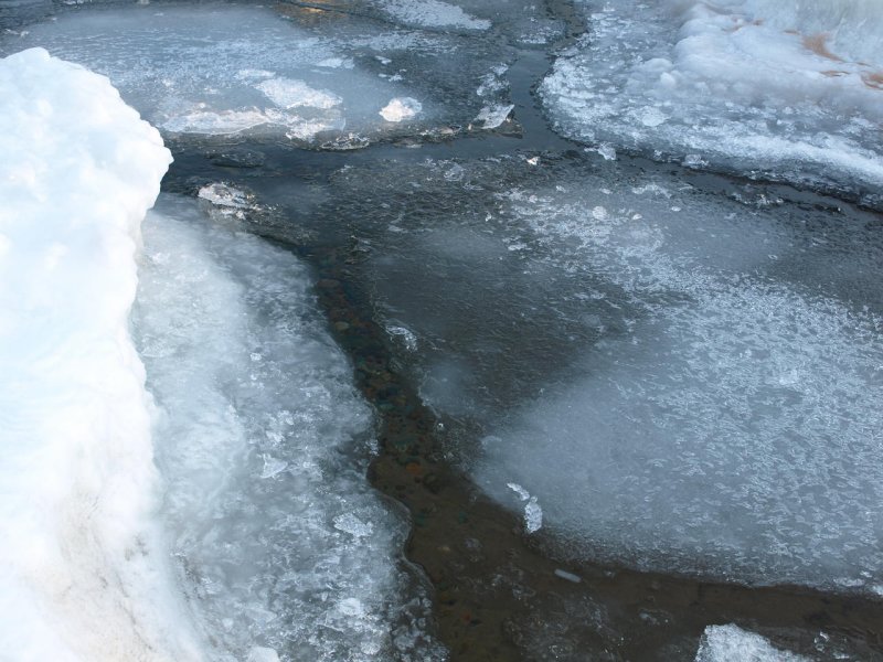 The Drift Ice and Beach