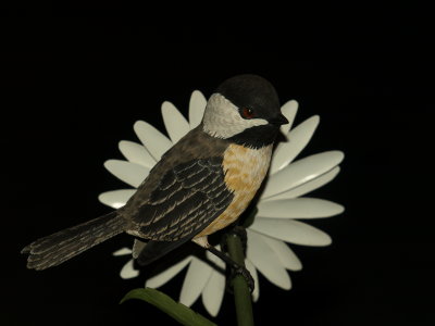 A Wood carving Of A Chicadee