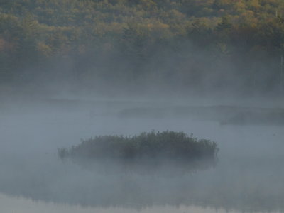 Early Morning Mist