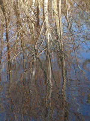Reflections