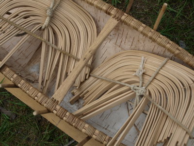 The Ribs Inside an Unfinished 1/4 Scale Birchbark Canoe