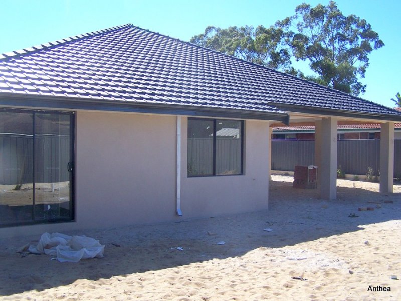 The back yard, looking at the back of the house