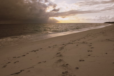 Foot prints in the sand