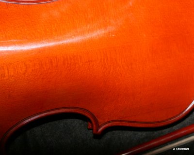 IMG_0025.JPG