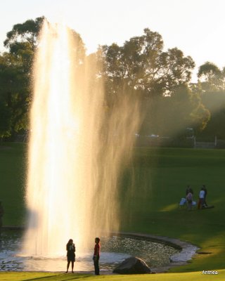 A captured sun beam