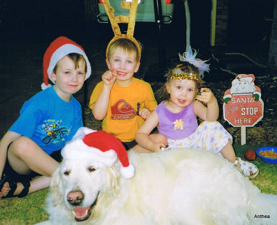 Another Christmas, putting out the reindeer food