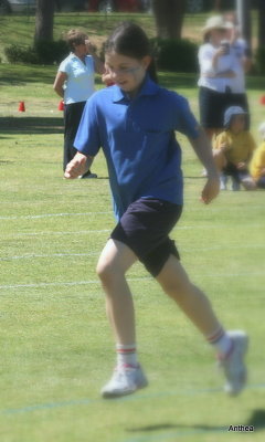 Primary school sports carnival... running the race