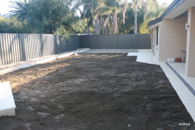 The rich soil is in place ready for the roll on lawn.  The vegetable patch area is the lighter soil to the back RHS corner