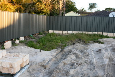 A fair bit of work needs to be finished on the fencing before I can start the back yard