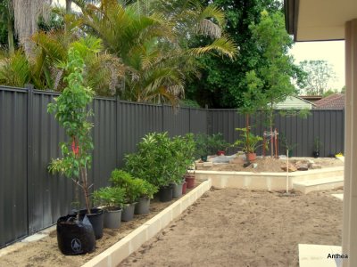 The first of the plants arrived today and once the reticulation is complete they will be planted!  Yay!