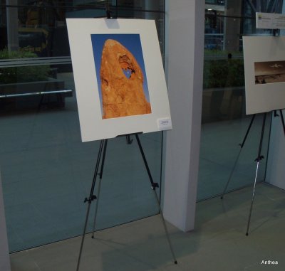 I was a finalist in a photo competition!  Now hanging in a city building.  My work was displayed in a gallery in the city.
