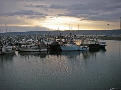 Homer at dusk