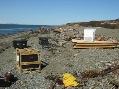Wood stoves on the beach