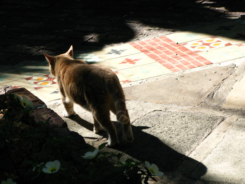 g1/35/858835/2/107661702.vXW1LJ7a.jpg