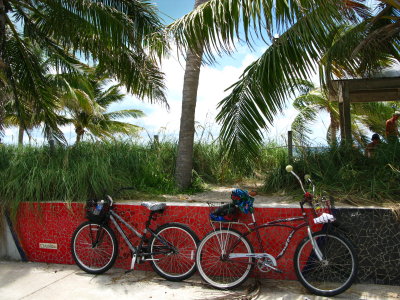 Sea wall & bicycles