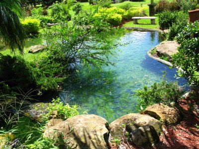 Redland Bonsai Garden
