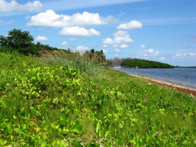 Boca Chica