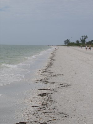 IMG_1642.JPG
