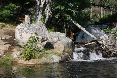 g1/35/873935/3/116224251.fjcmCoy5.jpg