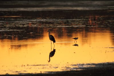 Leichardt Lagoon