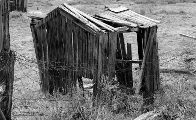 Chicken Coop.jpg