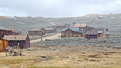 Snowy Bodie.jpg