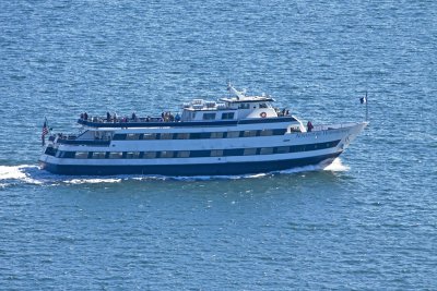 Whale Watching Boat