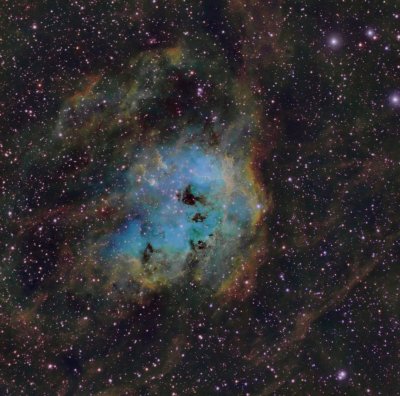 IC 410 Tadpole Nebula