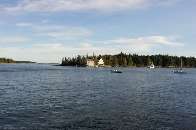 Hog Island from the dock