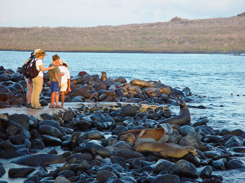 Galapagos-43.jpg