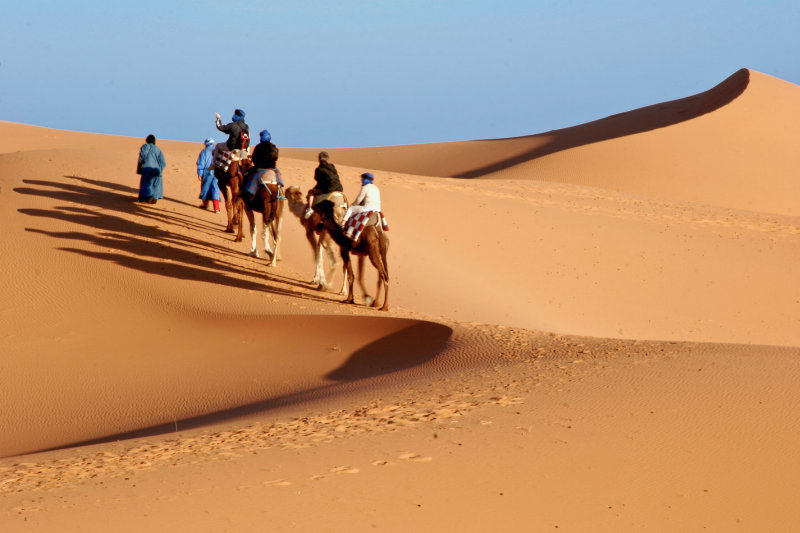 Sahara #6