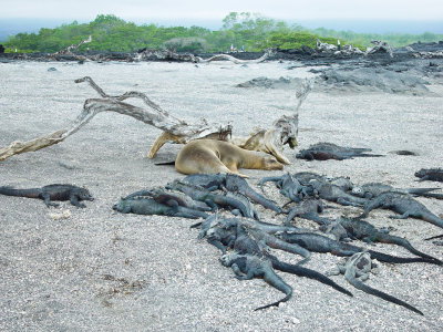 Galapagos-91.jpg