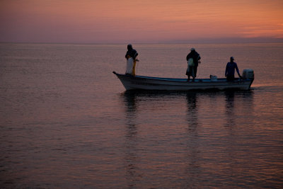 g1/36/105236/3/108299557.JjIyL2Qs.jpg