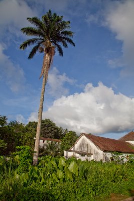 Sao Tome  Principe-147.jpg