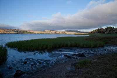 Tomales Bay #11