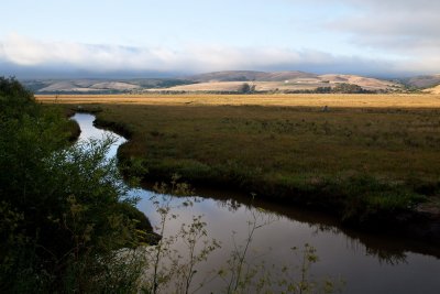 Tomales Bay #13