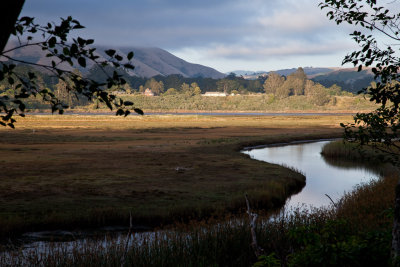 Tomales Bay #14