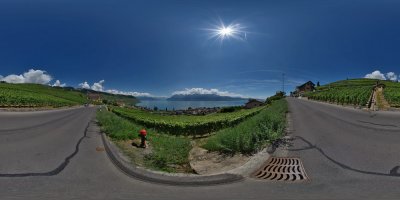 In the vineyards of Lake Geneva, between Lausanne and Montreux
