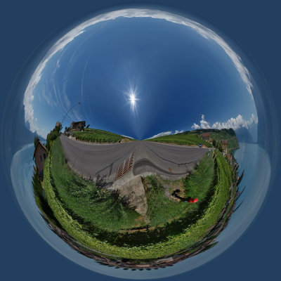 Vineyard in a bubble !