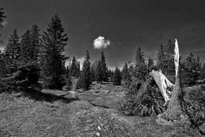 Col du Marchairuz_BW.jpg