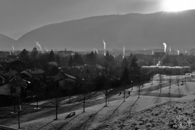 Early morning winter light