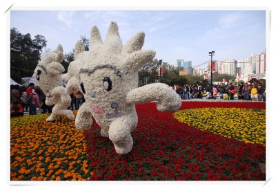 IMG_7982.jpg