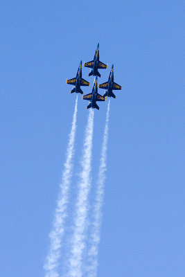 g1/36/19836/3/118153614.5f8rxYRW.jpg
