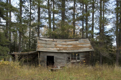Shed at the garden