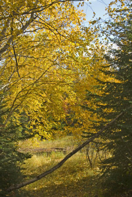 At the garden and by the lake