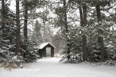 Wellhouse -  in the winter.  I have loved this little building since we bought this property about 10 years ago.