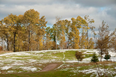 Golf course 1.jpg